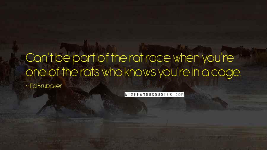 Ed Brubaker Quotes: Can't be part of the rat race when you're one of the rats who knows you're in a cage.