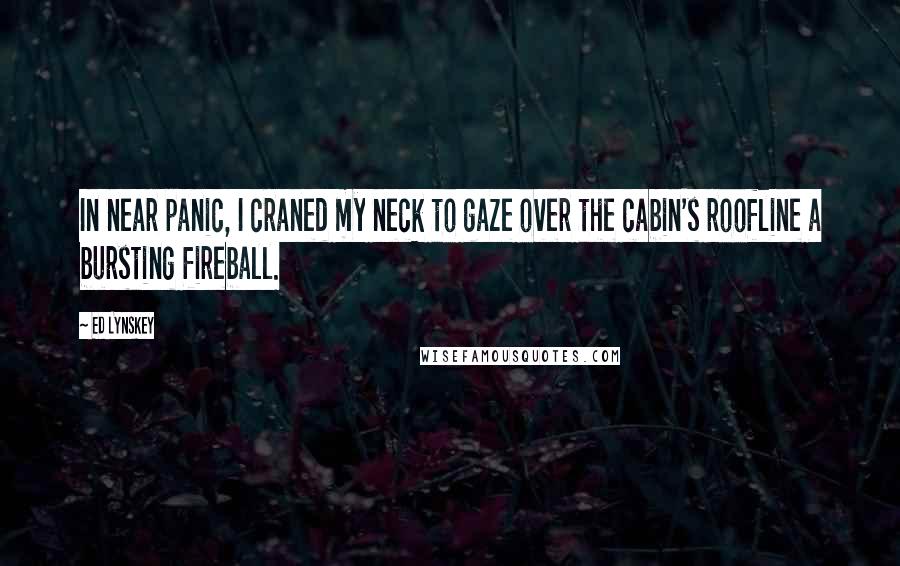 Ed Lynskey Quotes: In near panic, I craned my neck to gaze over the cabin's roofline a bursting fireball.