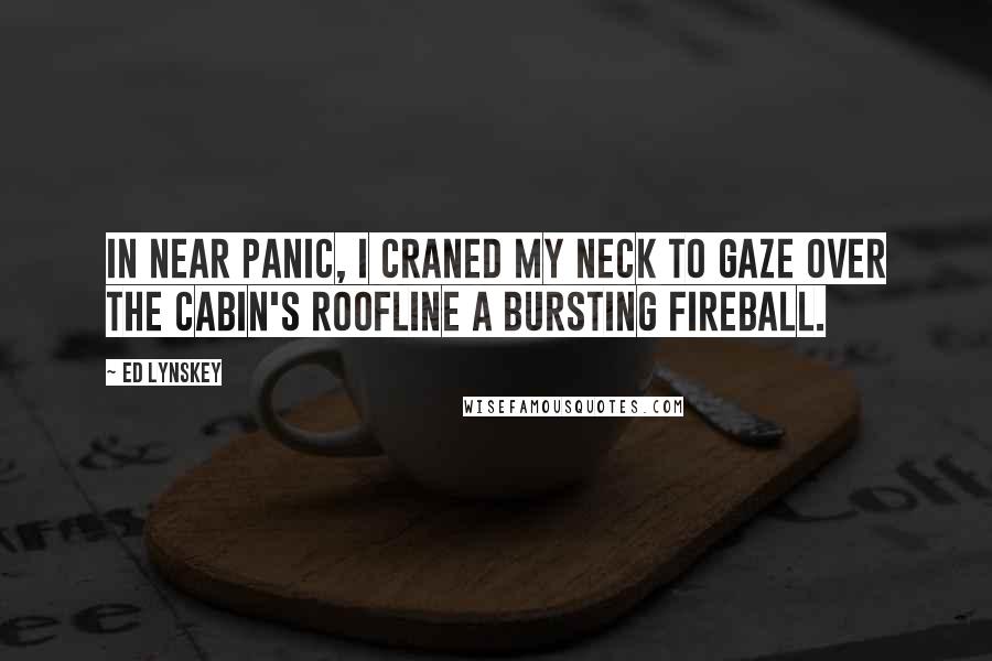 Ed Lynskey Quotes: In near panic, I craned my neck to gaze over the cabin's roofline a bursting fireball.