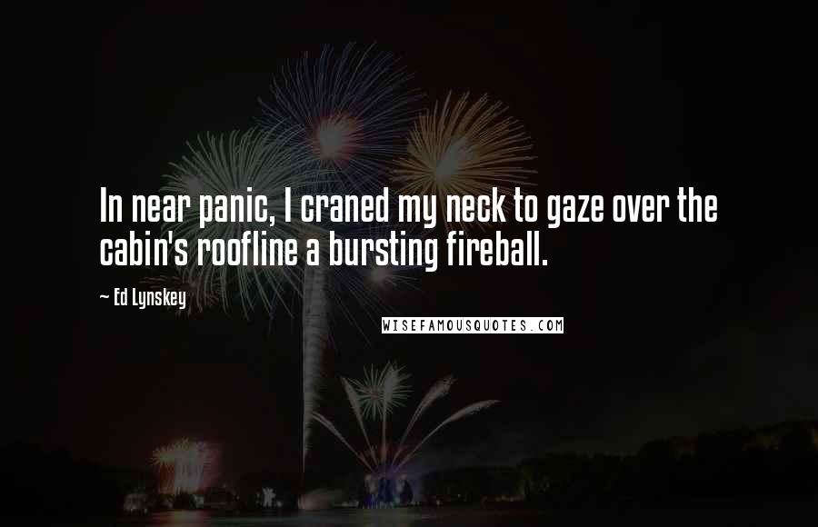 Ed Lynskey Quotes: In near panic, I craned my neck to gaze over the cabin's roofline a bursting fireball.