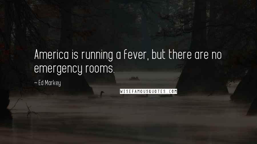 Ed Markey Quotes: America is running a fever, but there are no emergency rooms.