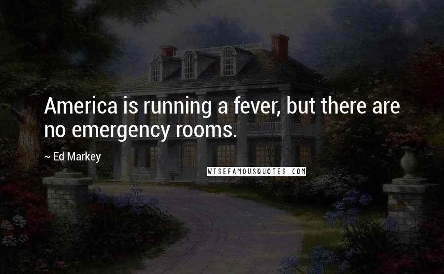 Ed Markey Quotes: America is running a fever, but there are no emergency rooms.