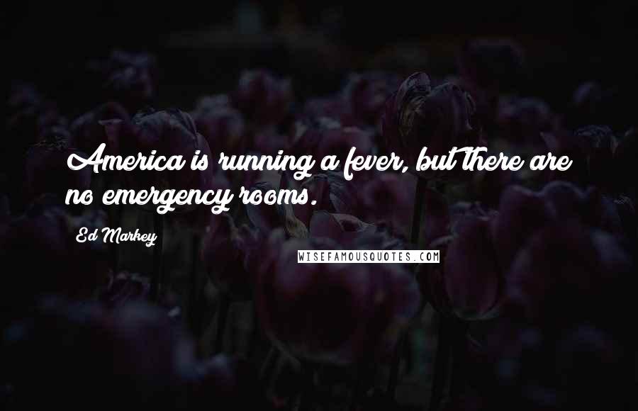 Ed Markey Quotes: America is running a fever, but there are no emergency rooms.