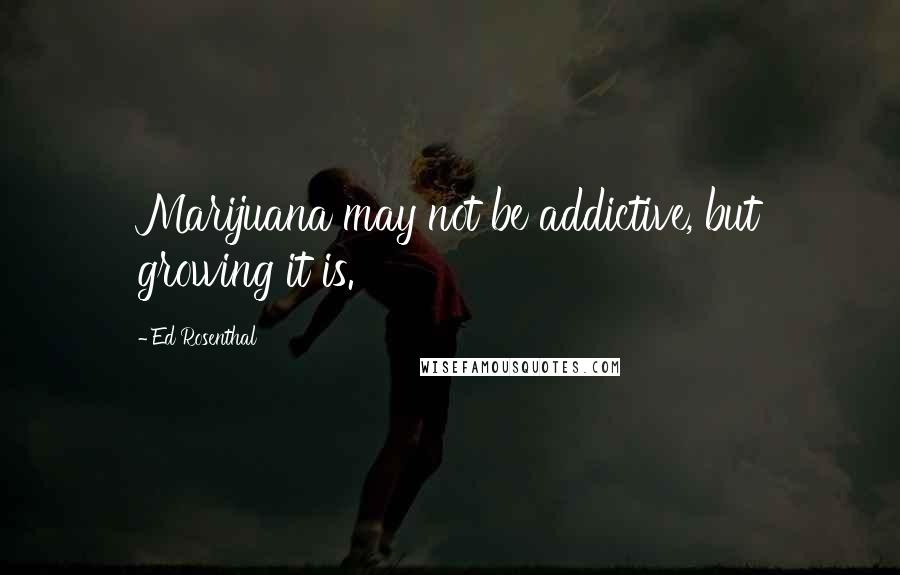 Ed Rosenthal Quotes: Marijuana may not be addictive, but growing it is.