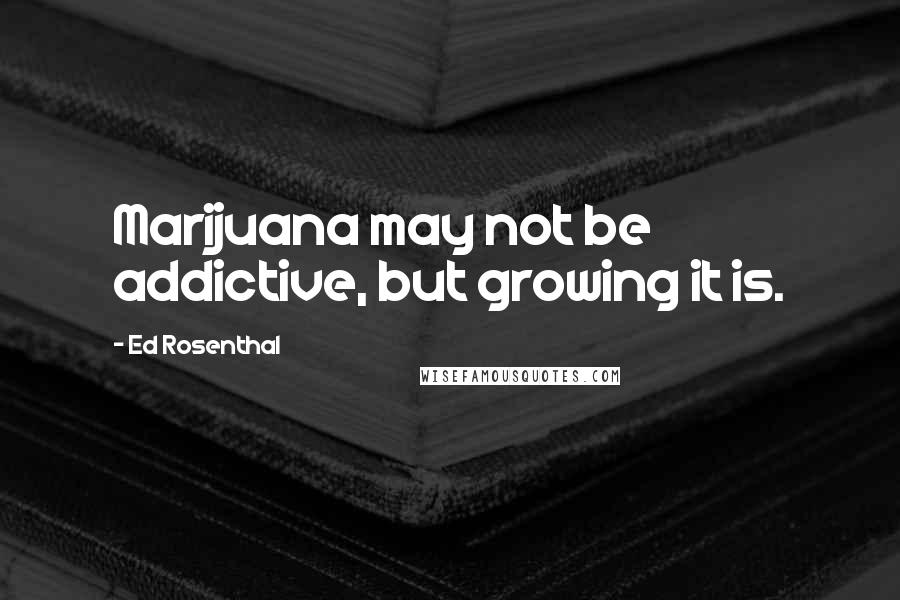 Ed Rosenthal Quotes: Marijuana may not be addictive, but growing it is.