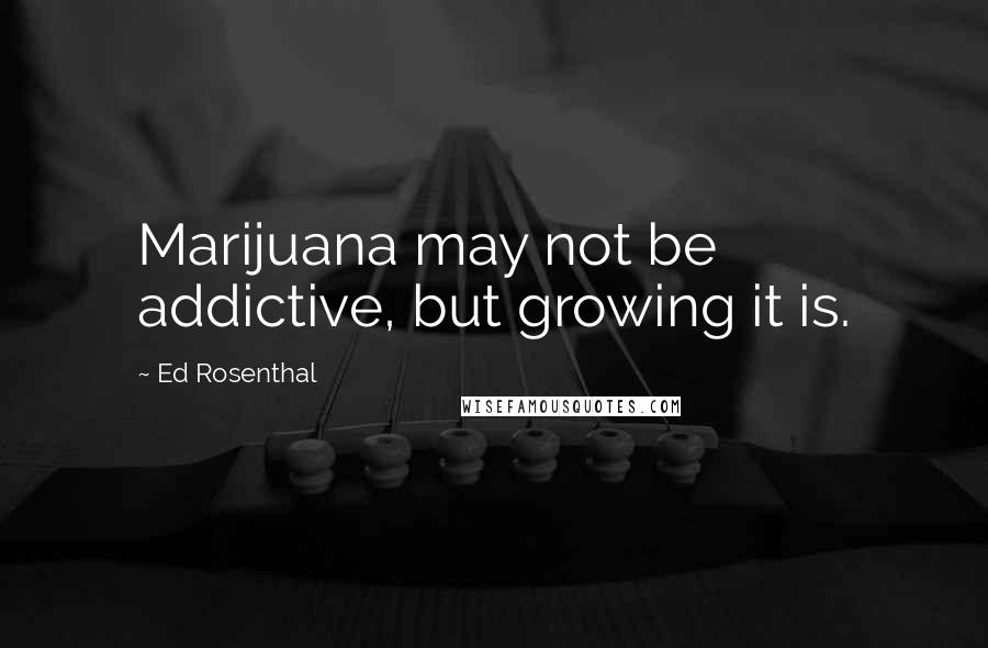 Ed Rosenthal Quotes: Marijuana may not be addictive, but growing it is.