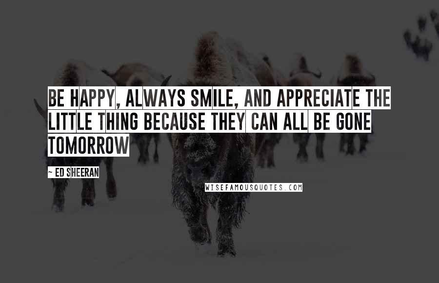 Ed Sheeran Quotes: Be happy, always smile, and appreciate the little thing because they can all be gone tomorrow
