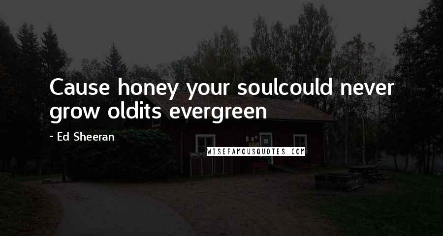 Ed Sheeran Quotes: Cause honey your soulcould never grow oldits evergreen