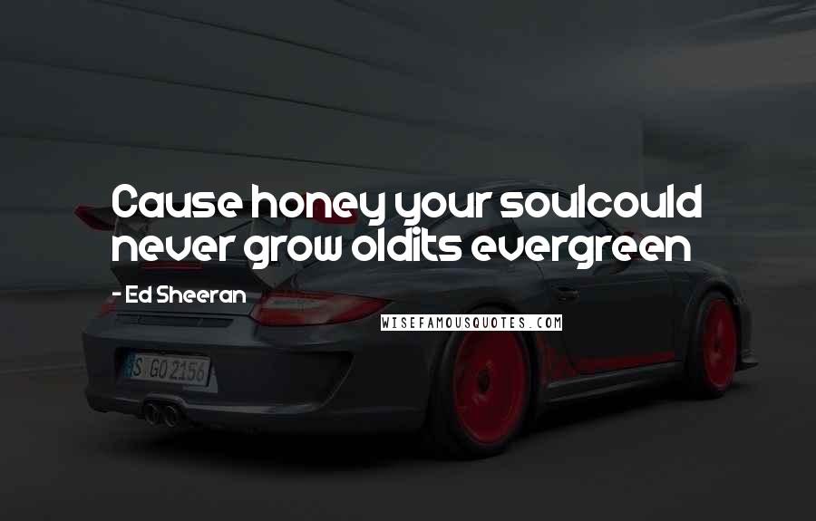 Ed Sheeran Quotes: Cause honey your soulcould never grow oldits evergreen