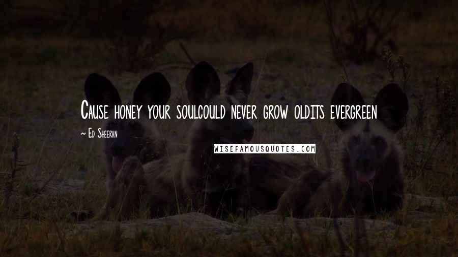 Ed Sheeran Quotes: Cause honey your soulcould never grow oldits evergreen