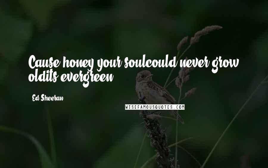 Ed Sheeran Quotes: Cause honey your soulcould never grow oldits evergreen