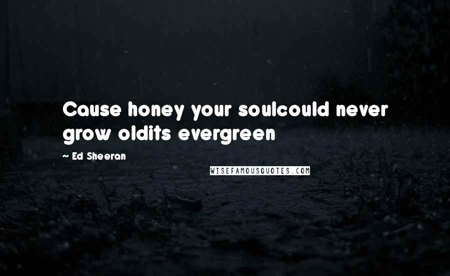 Ed Sheeran Quotes: Cause honey your soulcould never grow oldits evergreen