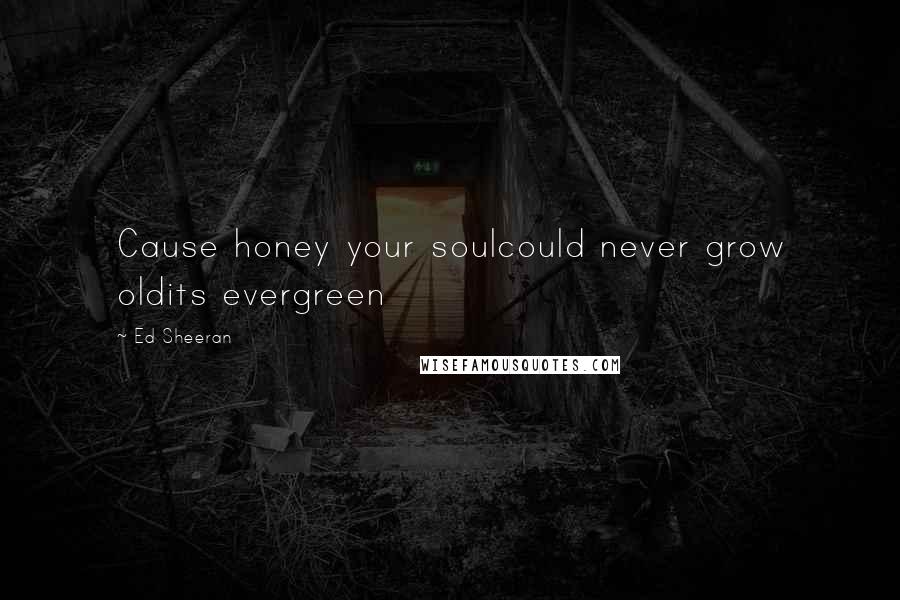 Ed Sheeran Quotes: Cause honey your soulcould never grow oldits evergreen