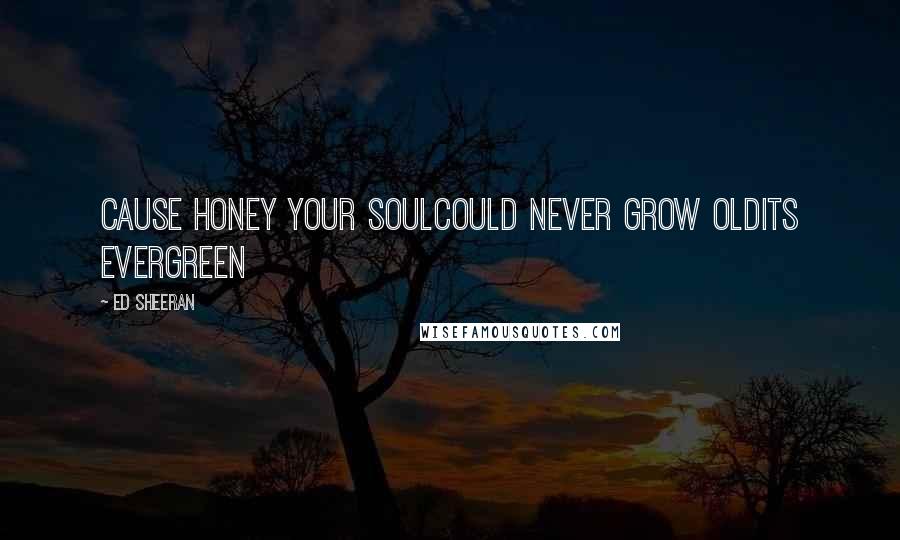 Ed Sheeran Quotes: Cause honey your soulcould never grow oldits evergreen