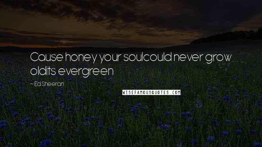 Ed Sheeran Quotes: Cause honey your soulcould never grow oldits evergreen