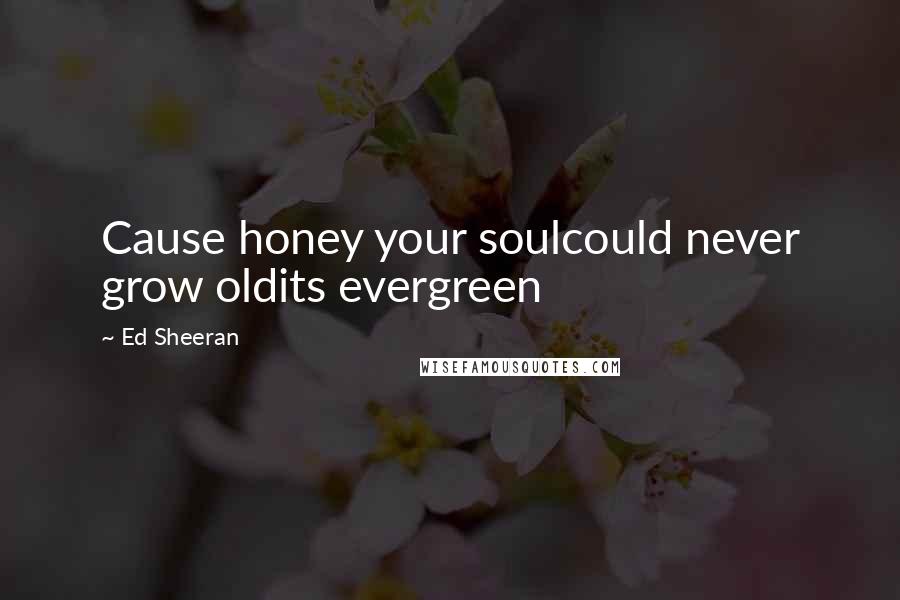 Ed Sheeran Quotes: Cause honey your soulcould never grow oldits evergreen