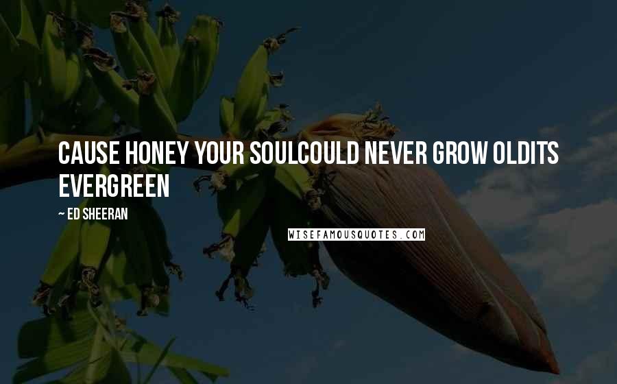 Ed Sheeran Quotes: Cause honey your soulcould never grow oldits evergreen