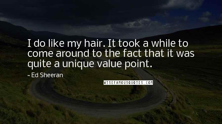 Ed Sheeran Quotes: I do like my hair. It took a while to come around to the fact that it was quite a unique value point.