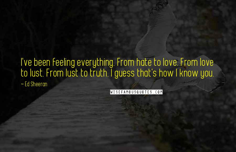 Ed Sheeran Quotes: I've been feeling everything. From hate to love. From love to lust. From lust to truth. I guess that's how I know you.