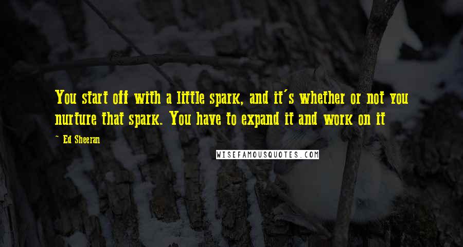 Ed Sheeran Quotes: You start off with a little spark, and it's whether or not you nurture that spark. You have to expand it and work on it