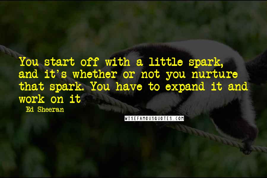 Ed Sheeran Quotes: You start off with a little spark, and it's whether or not you nurture that spark. You have to expand it and work on it