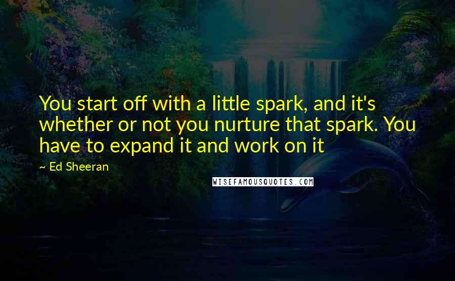 Ed Sheeran Quotes: You start off with a little spark, and it's whether or not you nurture that spark. You have to expand it and work on it