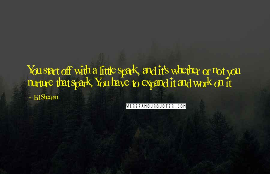 Ed Sheeran Quotes: You start off with a little spark, and it's whether or not you nurture that spark. You have to expand it and work on it