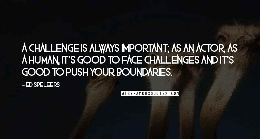 Ed Speleers Quotes: A challenge is always important; as an actor, as a human, it's good to face challenges and it's good to push your boundaries.