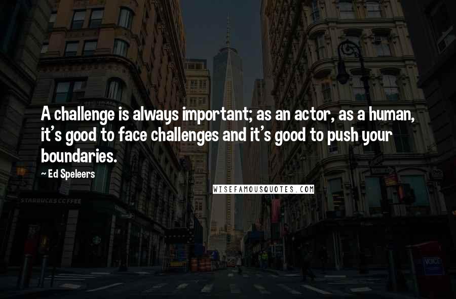 Ed Speleers Quotes: A challenge is always important; as an actor, as a human, it's good to face challenges and it's good to push your boundaries.