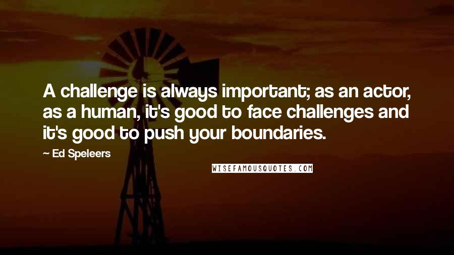 Ed Speleers Quotes: A challenge is always important; as an actor, as a human, it's good to face challenges and it's good to push your boundaries.