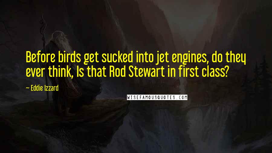 Eddie Izzard Quotes: Before birds get sucked into jet engines, do they ever think, Is that Rod Stewart in first class?