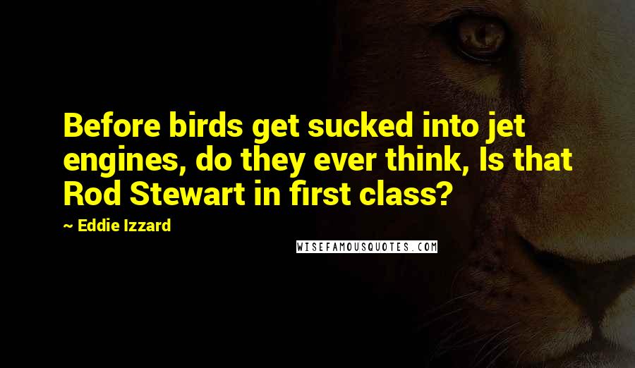 Eddie Izzard Quotes: Before birds get sucked into jet engines, do they ever think, Is that Rod Stewart in first class?