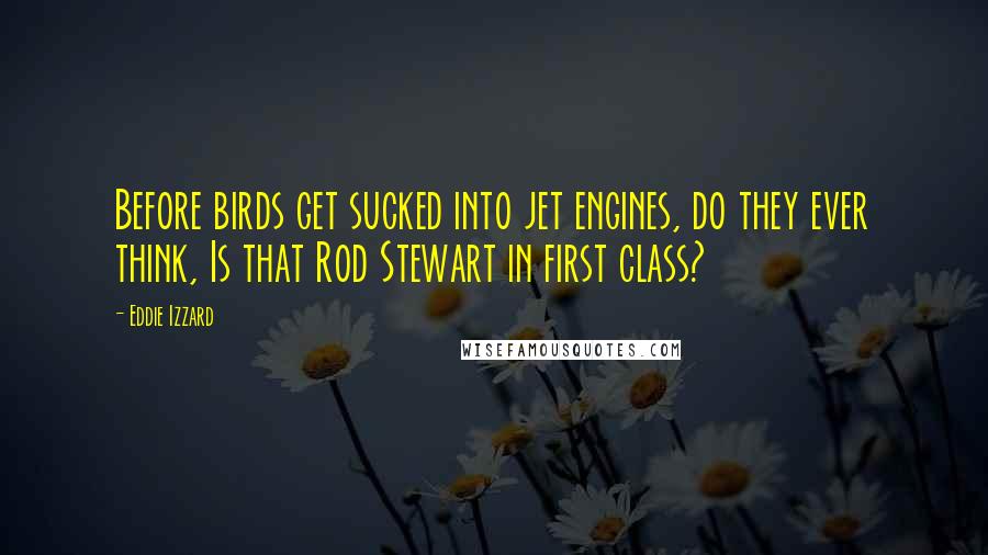 Eddie Izzard Quotes: Before birds get sucked into jet engines, do they ever think, Is that Rod Stewart in first class?