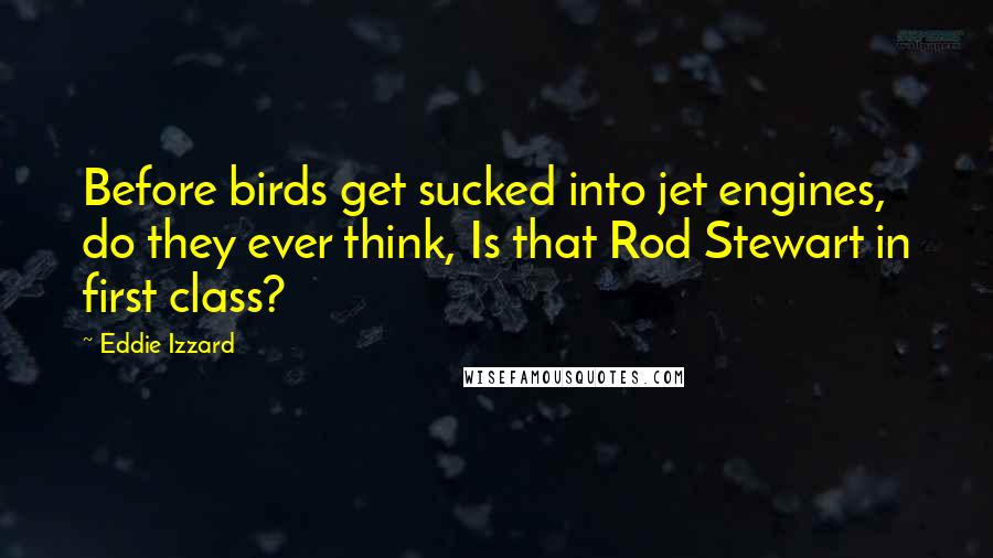 Eddie Izzard Quotes: Before birds get sucked into jet engines, do they ever think, Is that Rod Stewart in first class?