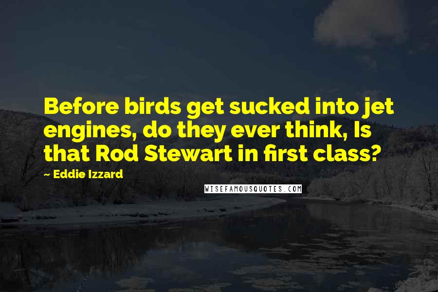 Eddie Izzard Quotes: Before birds get sucked into jet engines, do they ever think, Is that Rod Stewart in first class?