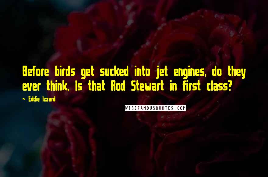 Eddie Izzard Quotes: Before birds get sucked into jet engines, do they ever think, Is that Rod Stewart in first class?