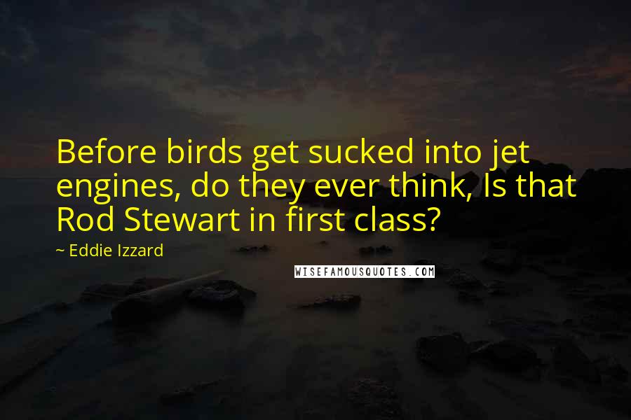 Eddie Izzard Quotes: Before birds get sucked into jet engines, do they ever think, Is that Rod Stewart in first class?