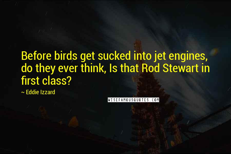 Eddie Izzard Quotes: Before birds get sucked into jet engines, do they ever think, Is that Rod Stewart in first class?
