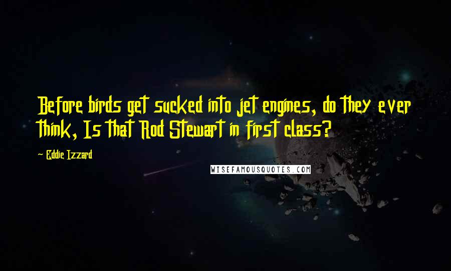 Eddie Izzard Quotes: Before birds get sucked into jet engines, do they ever think, Is that Rod Stewart in first class?