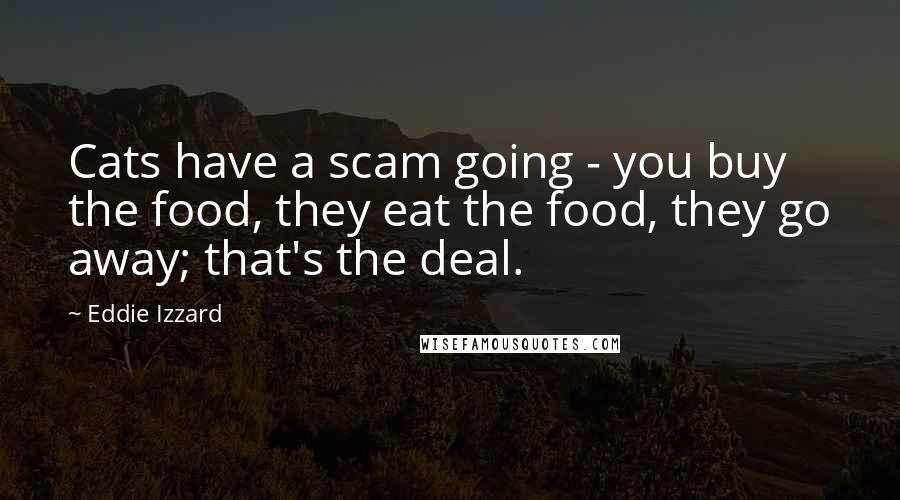 Eddie Izzard Quotes: Cats have a scam going - you buy the food, they eat the food, they go away; that's the deal.