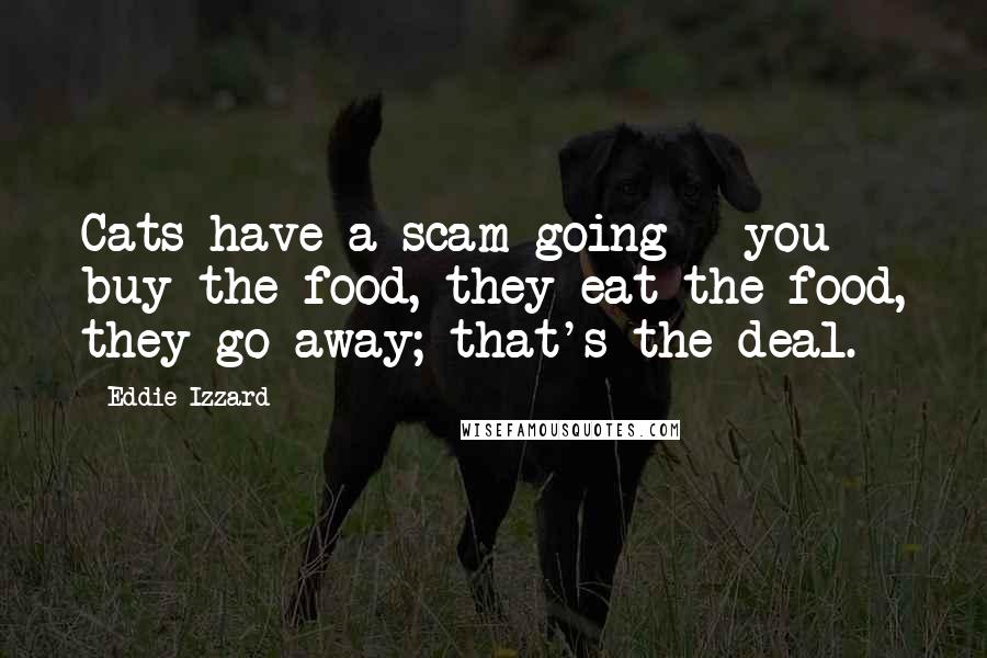 Eddie Izzard Quotes: Cats have a scam going - you buy the food, they eat the food, they go away; that's the deal.