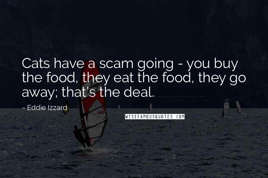 Eddie Izzard Quotes: Cats have a scam going - you buy the food, they eat the food, they go away; that's the deal.