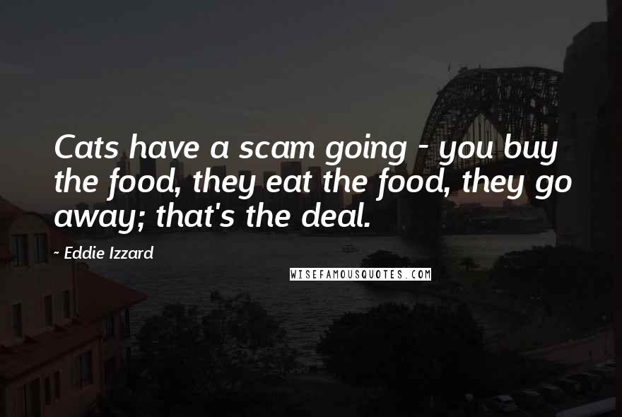 Eddie Izzard Quotes: Cats have a scam going - you buy the food, they eat the food, they go away; that's the deal.