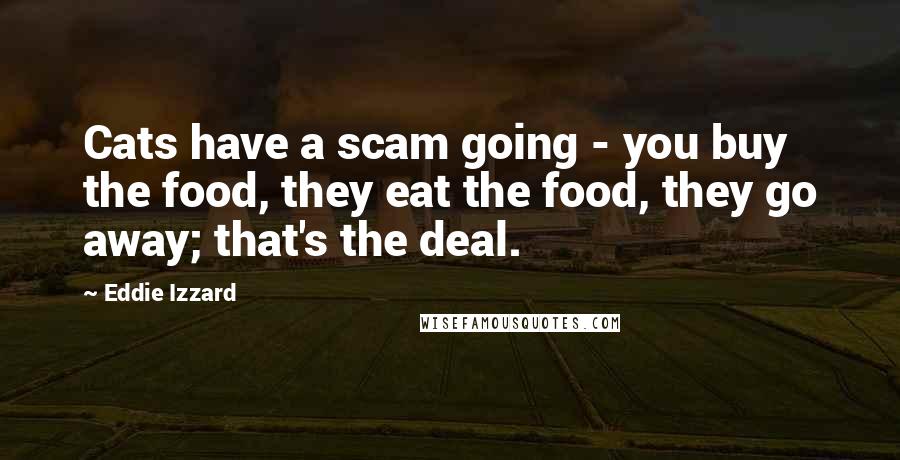 Eddie Izzard Quotes: Cats have a scam going - you buy the food, they eat the food, they go away; that's the deal.