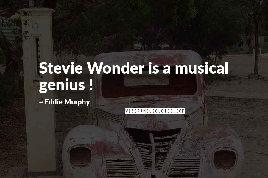 Eddie Murphy Quotes: Stevie Wonder is a musical genius !