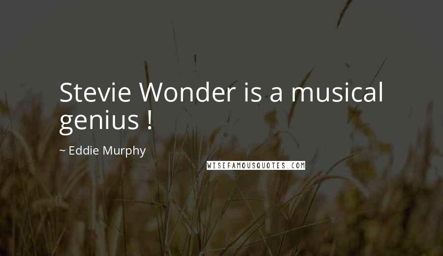 Eddie Murphy Quotes: Stevie Wonder is a musical genius !