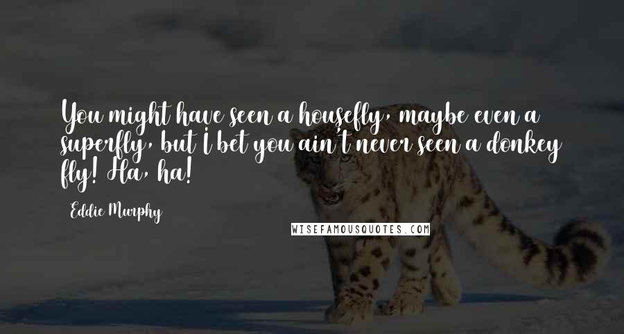 Eddie Murphy Quotes: You might have seen a housefly, maybe even a superfly, but I bet you ain't never seen a donkey fly! Ha, ha!