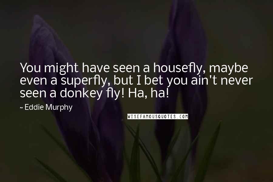 Eddie Murphy Quotes: You might have seen a housefly, maybe even a superfly, but I bet you ain't never seen a donkey fly! Ha, ha!