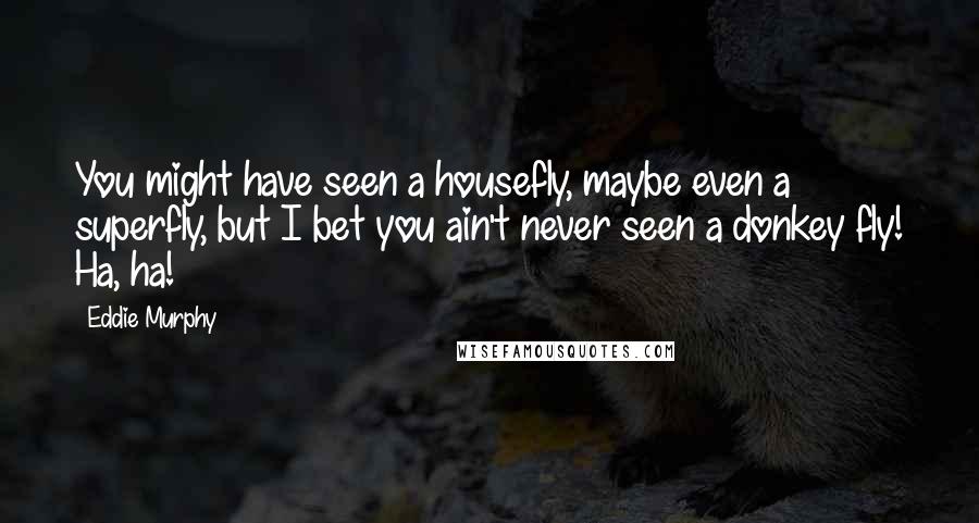 Eddie Murphy Quotes: You might have seen a housefly, maybe even a superfly, but I bet you ain't never seen a donkey fly! Ha, ha!