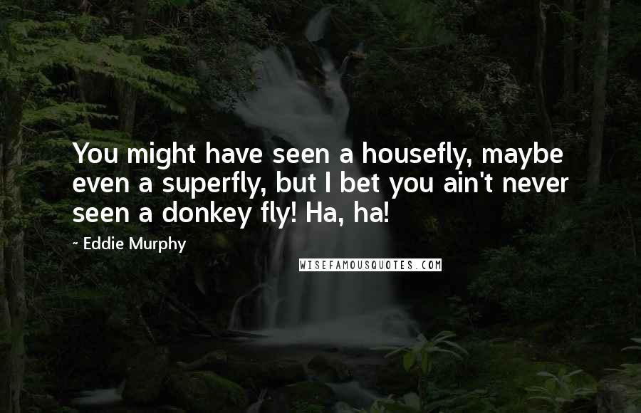 Eddie Murphy Quotes: You might have seen a housefly, maybe even a superfly, but I bet you ain't never seen a donkey fly! Ha, ha!